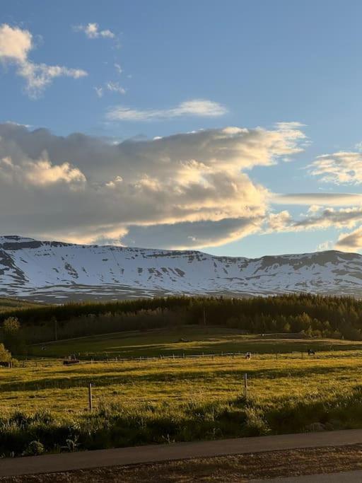 Nice & Cozy Two Bedroom Apartment With A Balcony Akureyri Exteriör bild