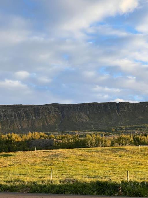Nice & Cozy Two Bedroom Apartment With A Balcony Akureyri Exteriör bild