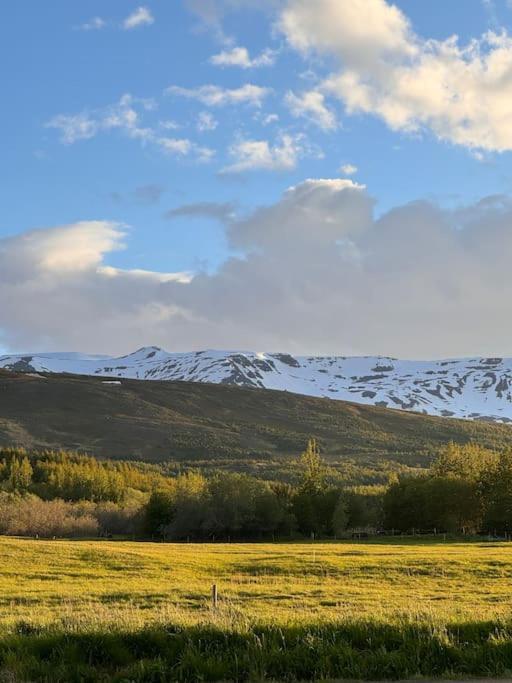 Nice & Cozy Two Bedroom Apartment With A Balcony Akureyri Exteriör bild